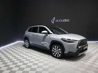 hybrid 2.0 style plus