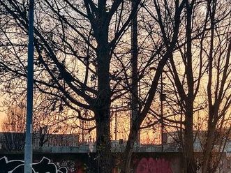 seat leon cupra r asi