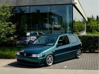 polo 6n