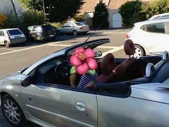 peugeot 206 cc roland garros – 1.6l 110ch – 2006