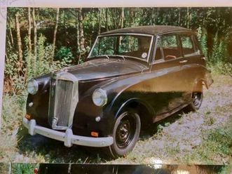 triumph triumph mayflower