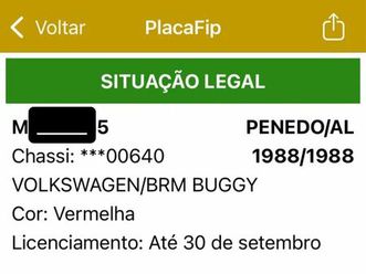 brm buggy /m-8/m-8 long 1.6 1988