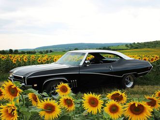 buick skylark 1969
