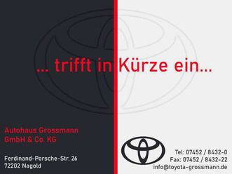 hybrid team deutschland comfort & safety paket sh