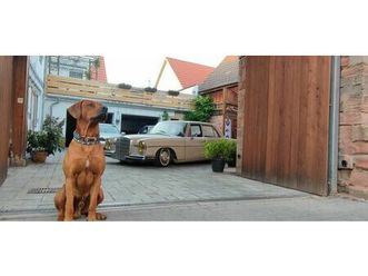 mercedes benz 280se w108