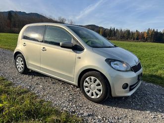 citigo 1.0 g-tec monte carlo