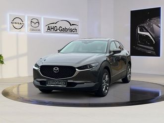 2wd, design- und premium - p.