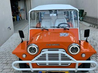 mini moke magnifique