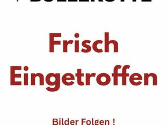 seat ibiza beats edition