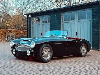 austin healey 100 / 6