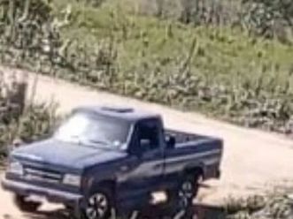 s / luxe 3.9/4.0 diesel