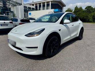 tesla model y lr dual motor *8-fach bereift*black deal