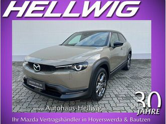 e-skyactiv advantage industrial vintage