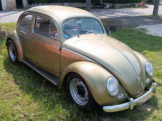 coccinelle ovale old speed