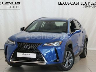 lexus ux 300e business