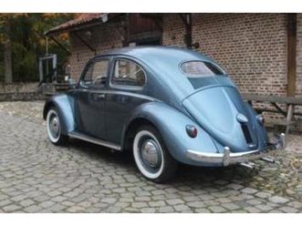 ② coccinelle ovale vw 1954 — volkswagen — 2ememain