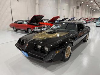 1981 pontiac firebird trans am for sale