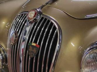 pelle rossa e radica