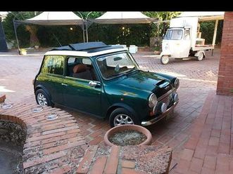 mini rover anno 1995 1300 i.