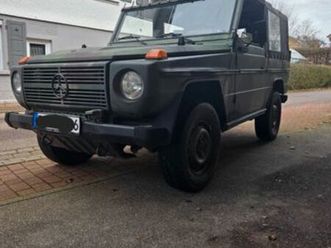 mercedes-benz g 250