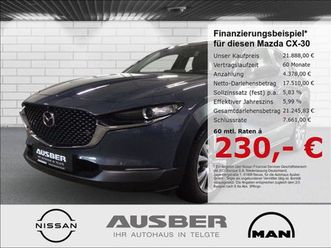 mazda cx-30 selection 2wd 360° bose ganzjahresreifen h