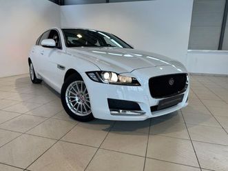jaguar xf 2.0 d 163 cv pure del 2019 usata a venezia