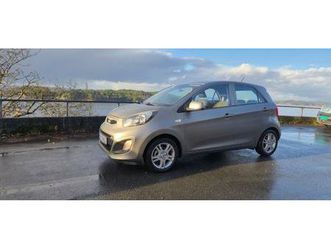 1,0 classic ecodynamics morning