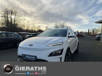 hyundai kona elektro (100kw)/136 ps advantage-paket nr k