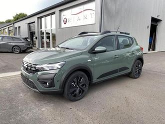 stepway eco-g 100 expression avec camera, gps et sieges chauffants