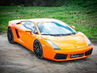 lamborghini gallardo