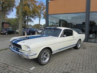 ford mustang - gt 350 als in shelby motor van racing