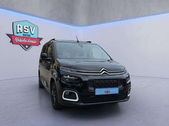 talla m bluehdi 100 s&s 100 años