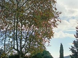 galloper exceed 2.5 tdi confort chasis largo