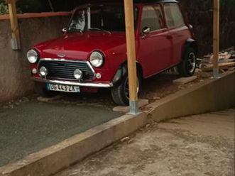 mini austin
