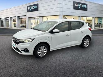 1.0 eco-g 100ch expression