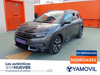 bluehdi 130 sands shine 96 kw (131 cv)