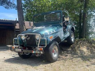 jeep cj 5 canton thurgovie - tutti.ch