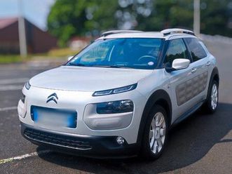 c4 cactus