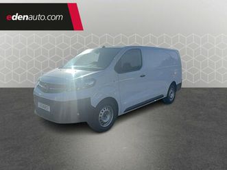 fourgon fgn taille xl bluehdi 100 s&s bvm6