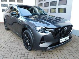 e-sky phev awd 7-sitzer homura-plus convenience&