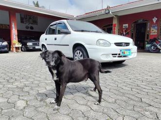 chevrolet classic 1.0 flex life