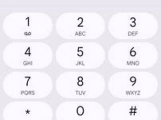 1965 convertible galaxy