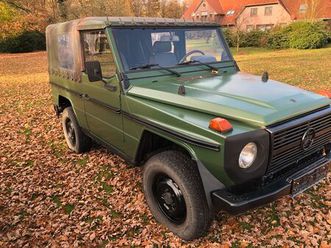 mercedes g klasse 250gd wolf h kennzeichen