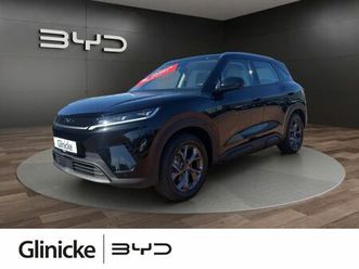 byd atto 2 boost*tageszulassung