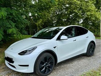 tesla model y standard 2024