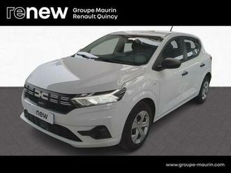 1.0 eco-g 100ch essential