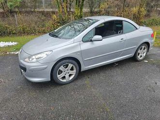 peugeot 307 cc neue pickel
