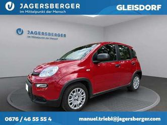fiat panda 4x2 firefly hybrid 70 pandina