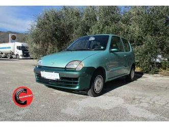 cat sporting michael schumacher