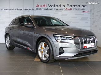 audi e-tron 50 quattro 313 ch avus